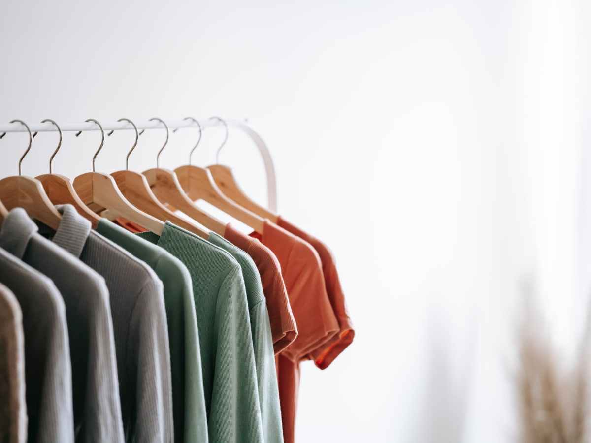 DREAM BIG walk-in closet for a TINY HOUSE- See&nbsp;how